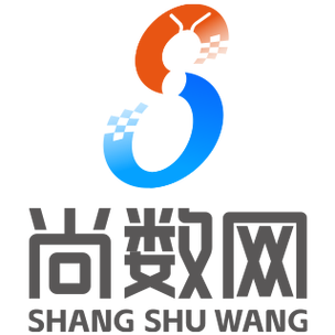 深圳市尚数网科技 数字浪潮中的专业引航者