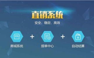 软件批发与供应 邮编商务网youbian.com的全面信息技术咨询服务